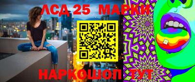 МДПВ Новодвинск