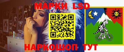МДПВ Новодвинск
