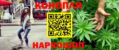 МДПВ Новодвинск