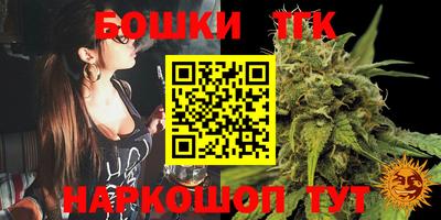 МДПВ Новодвинск