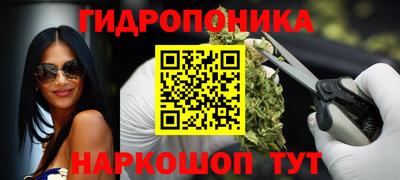 МДПВ Новодвинск