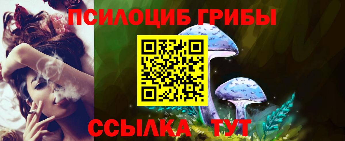 Галлюциногенные грибы мицелий Саров
